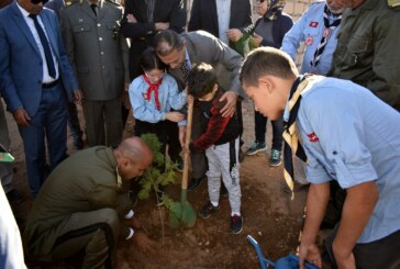 سيدي بوزيد تحتفل بالعيد الوطني للشجرة تحت شعار “لكل مواطن شجرة”
